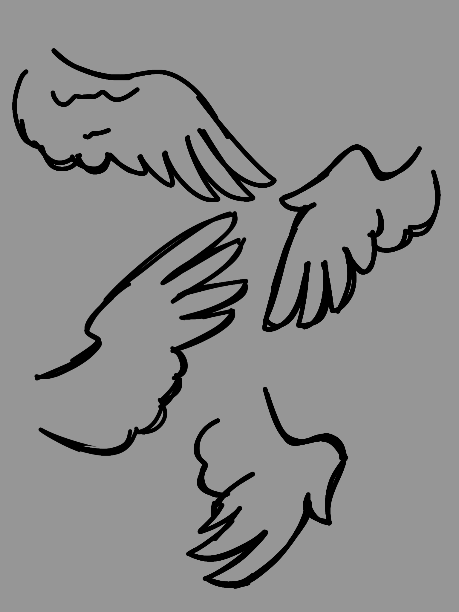 wings practice - ibisPaint