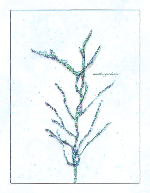 𝑰𝒎𝒑𝒆𝒓𝒎𝒂𝒏𝒆𝒏𝒄𝒆