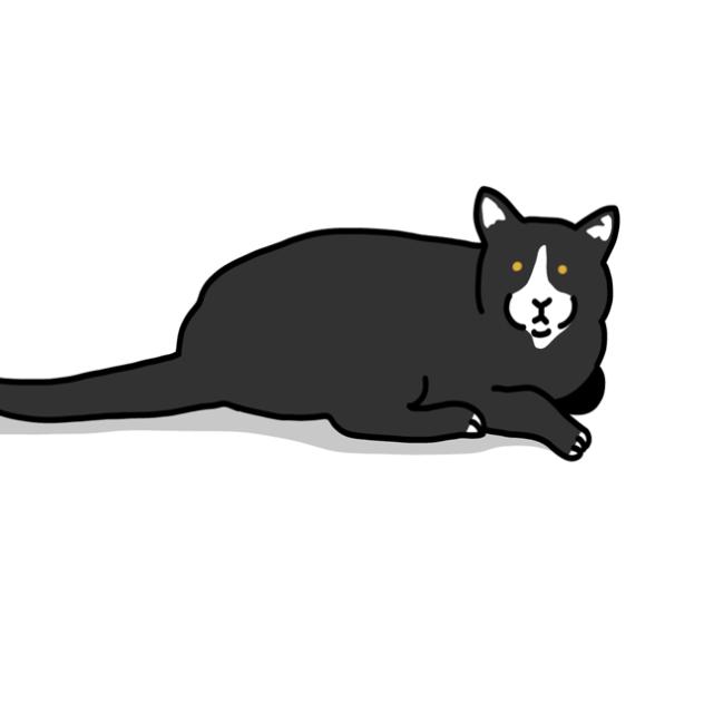 Kitty cat