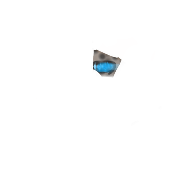 eye