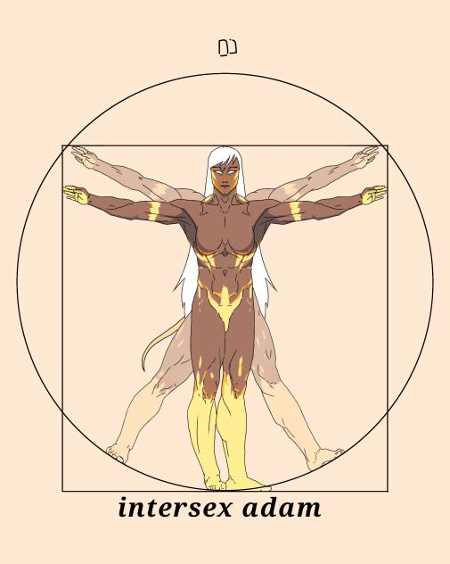 vitruvian adam