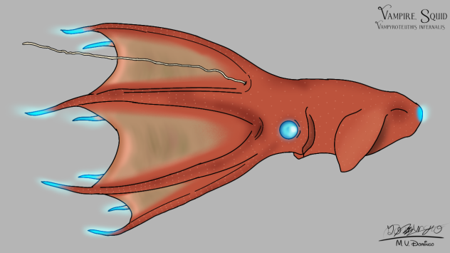 Vampire Squid glows