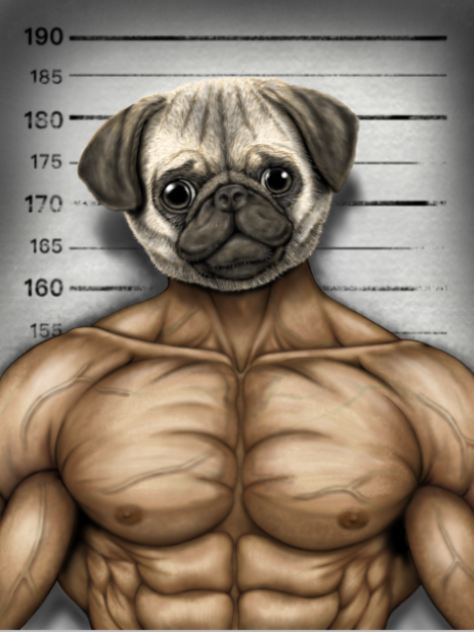 犬