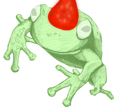 Strawberry frog