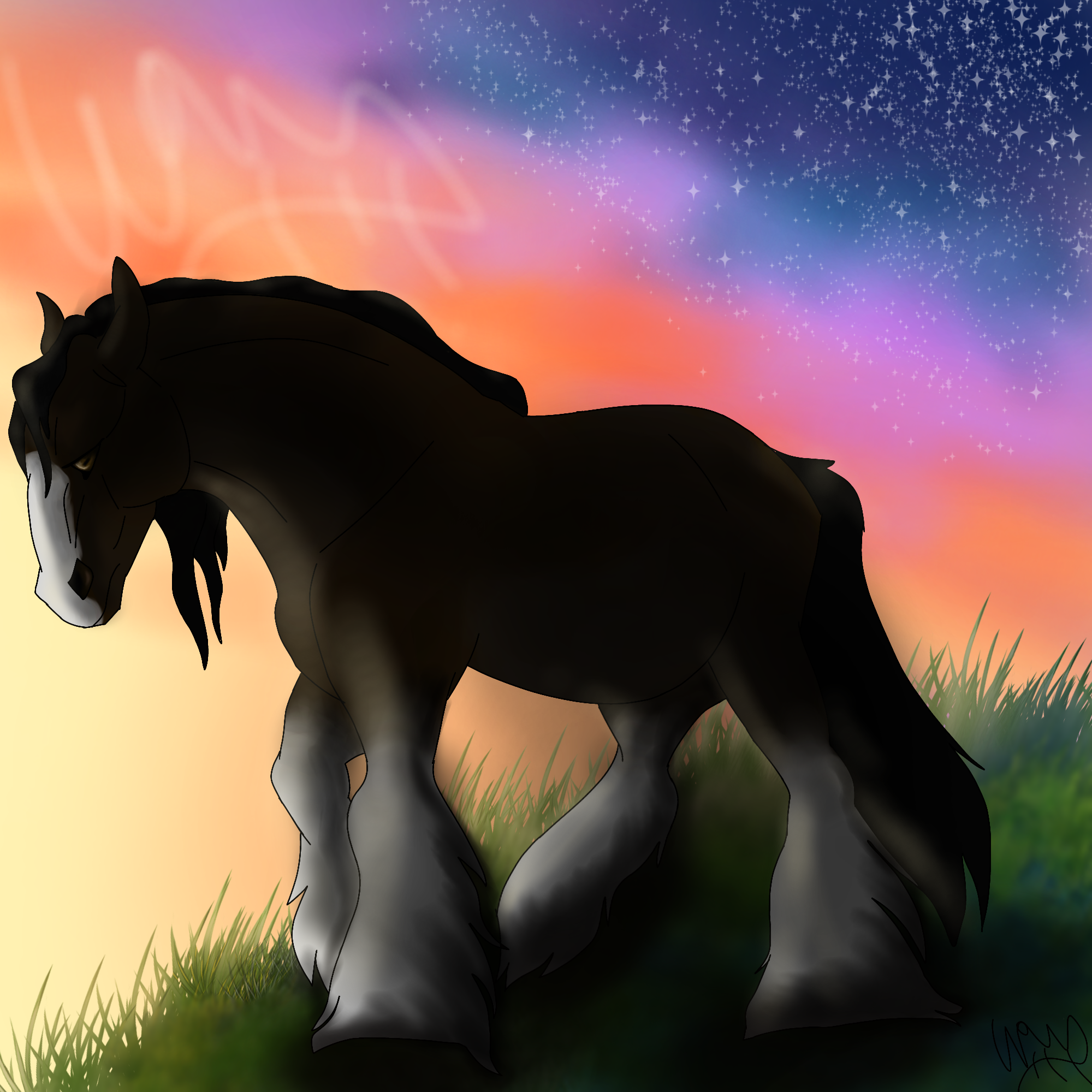 Midnight - ibisPaint