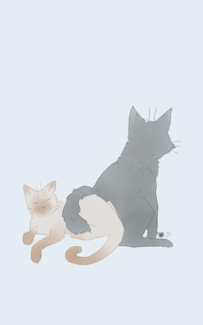 buddies