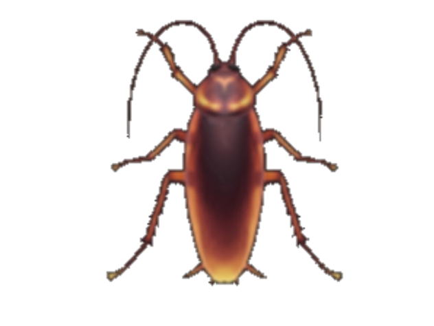The cockroach for the free tt pfp