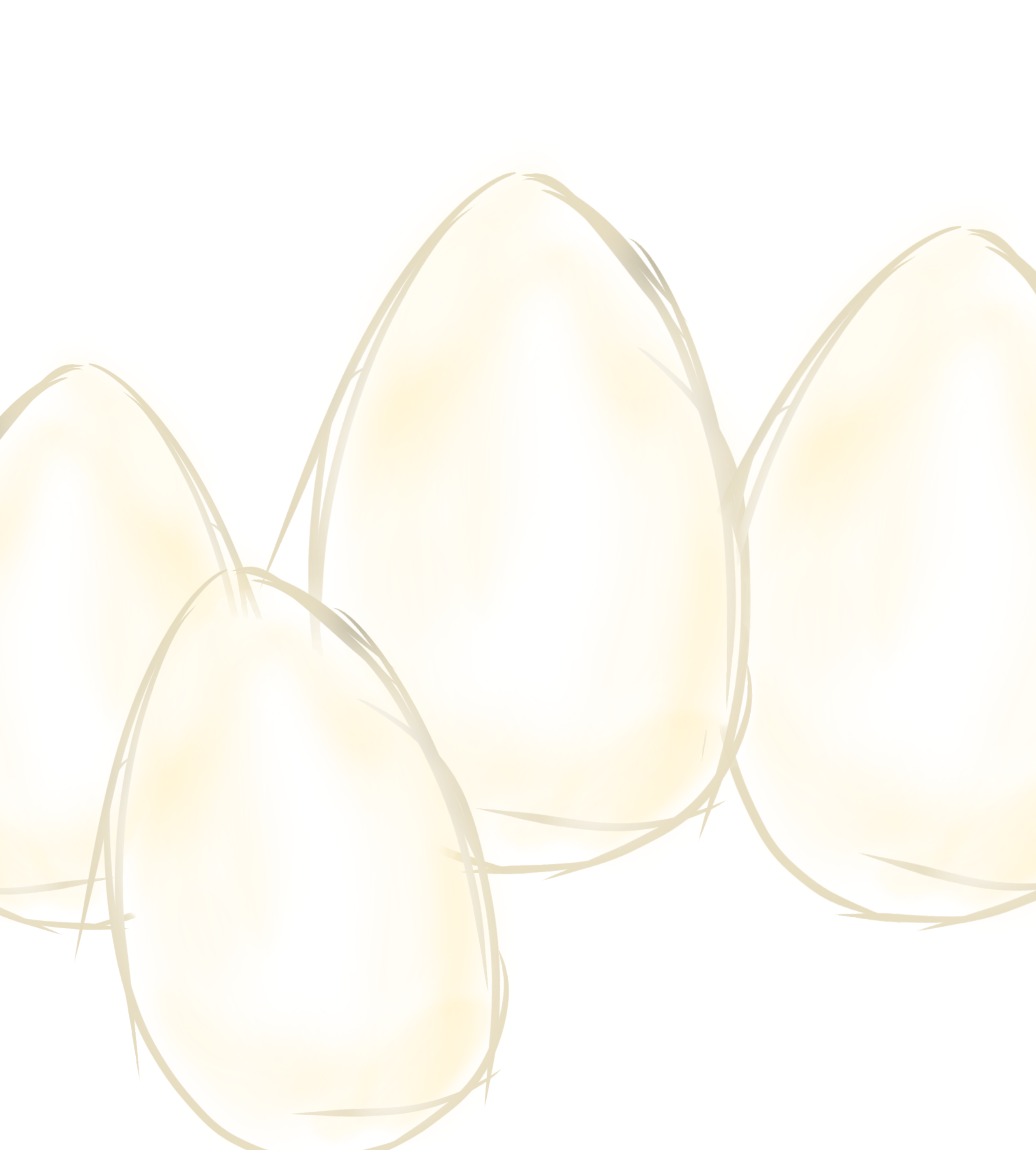 eggs, plain and simple - ibisPaint