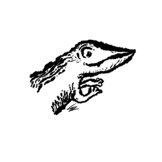 Happy croco