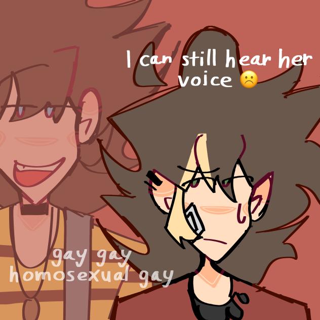 I can still hear her voice meme
