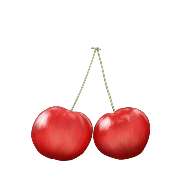 さくらんぼ模写練習