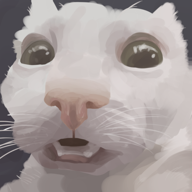 kitten - ibisPaint