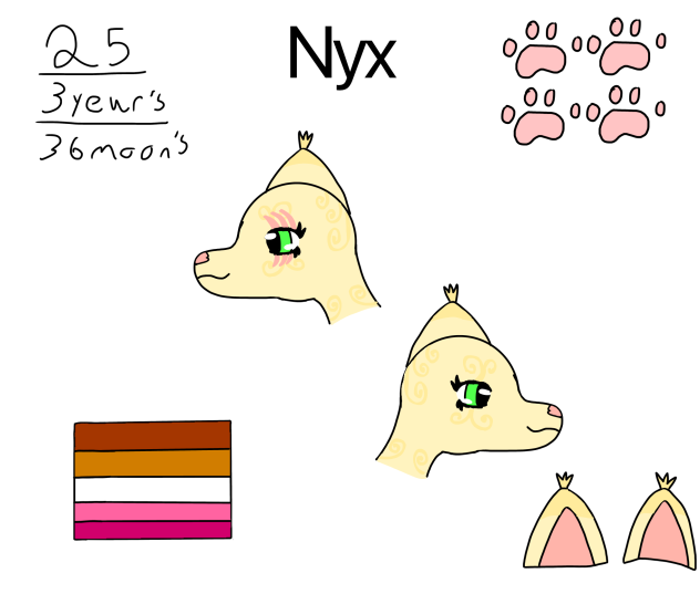 Nyx concept