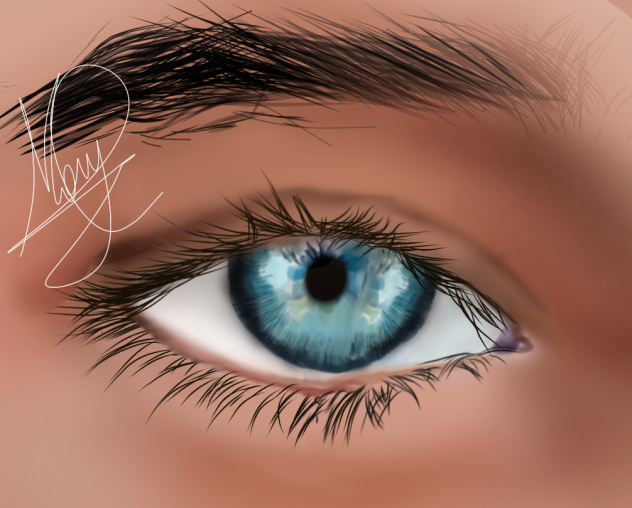 an eye - ibisPaint