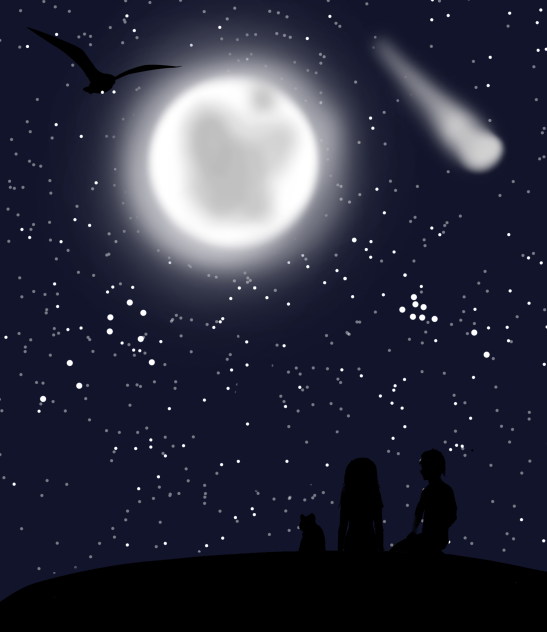 Night