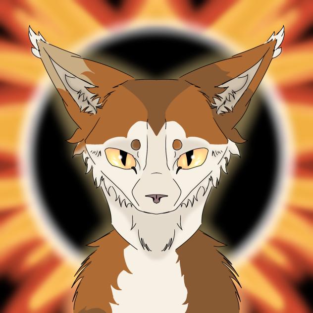 Warriors cats Sol ... Коты воители Сол