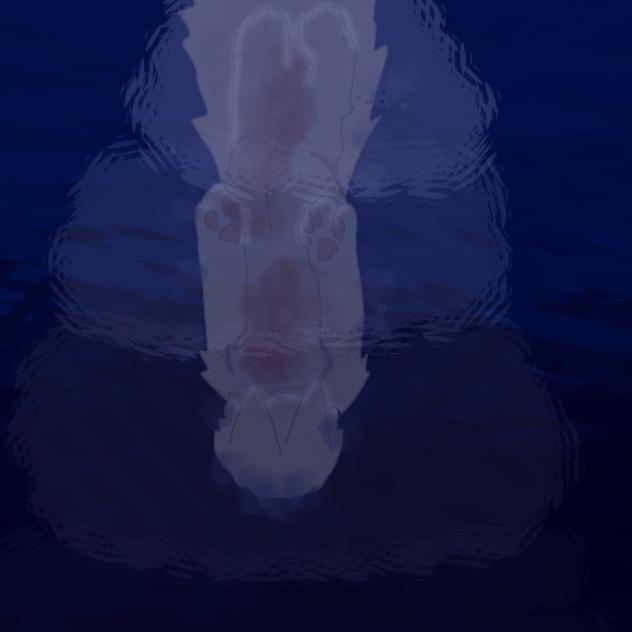 🌊 (Bl00d Warning🩸)