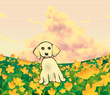 Failed attempt to draw a dog