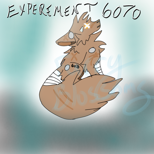 experiment 6070