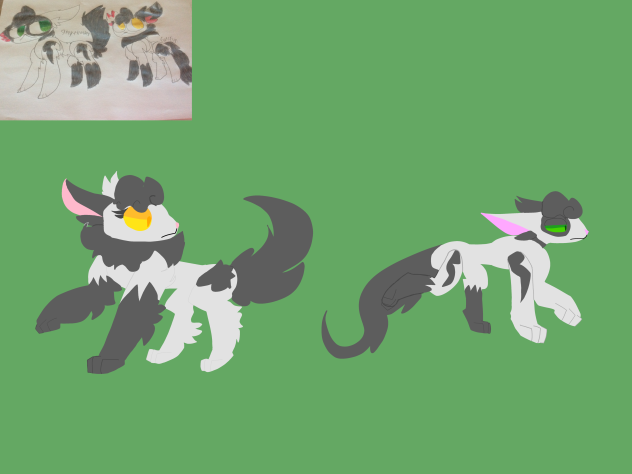 Curlfur and GreyThunder
