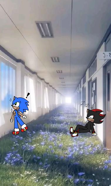 Sonic and shadow in the backrooms #2