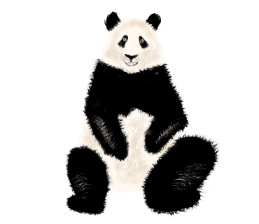 パンダ