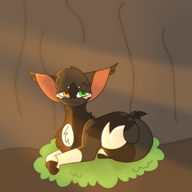 ○Ravenpaw redraw○