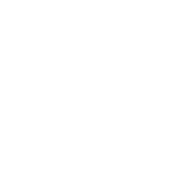 IBM1601 poinsettia lace a