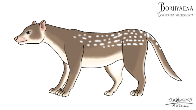 Borhyaena macrodonta