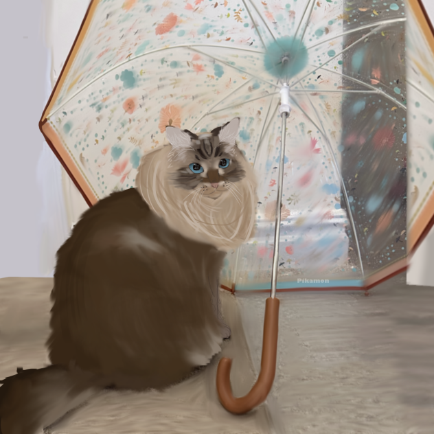My cat ! - ibisPaint