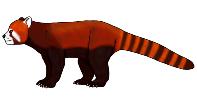 Red Panda render
