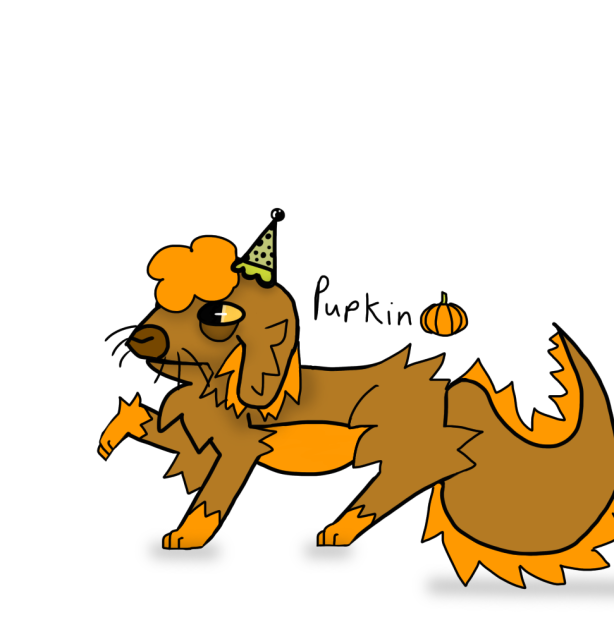 Pupkin