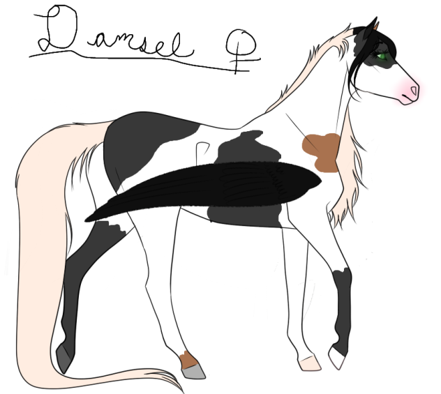 Damsel - Redesigned