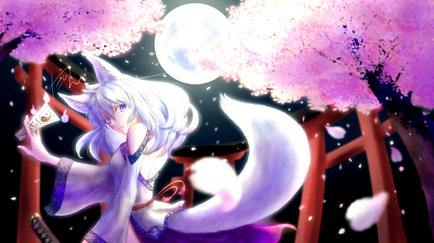 月夜の桜と銀孤