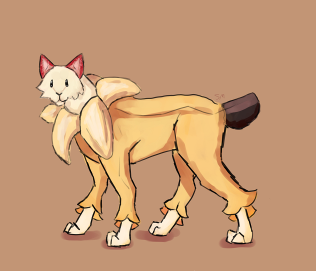 🍌 banana cat 🍌