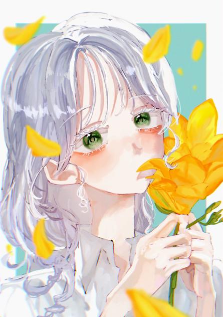 フリージア