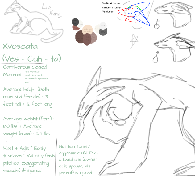 Xvescata (page 1)