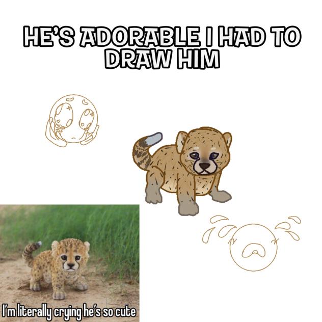 HES SO CUTE AAAAAAAAHHHHHHH