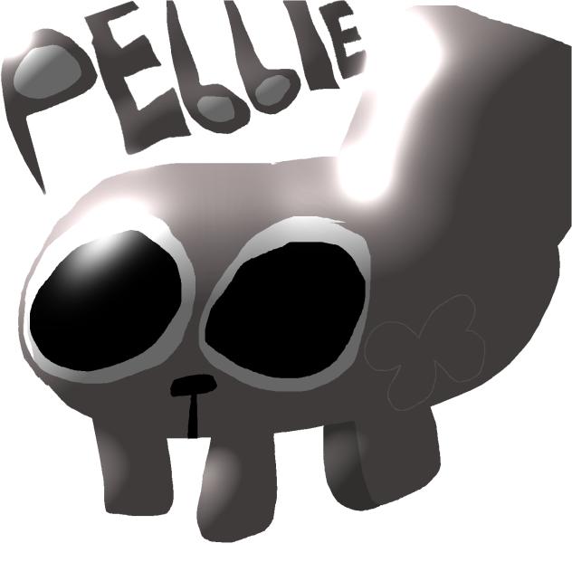 Pebble
