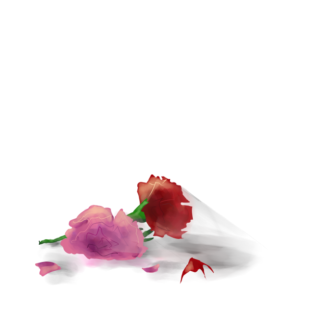 okokok i messed up