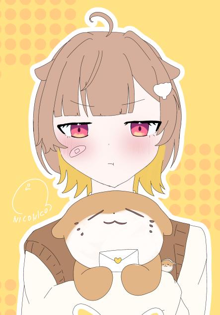 「らこのぬいぐるみ！！！」