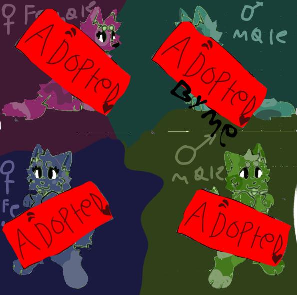 Up for adoption!!!