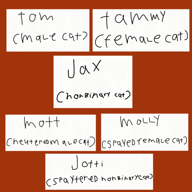 My warrior cats oc’s gender terms