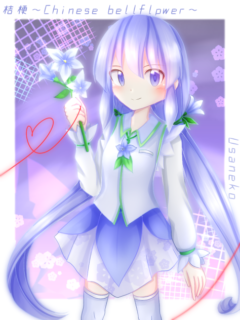 桔梗〜Chinese bellflowaer〜