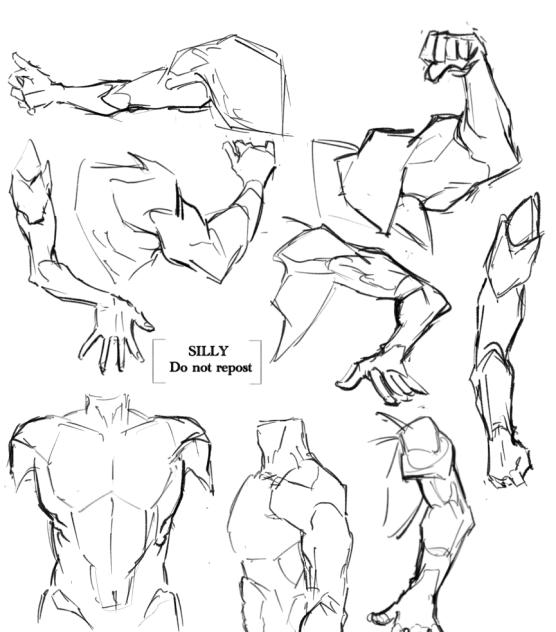 Muscle practice 💪