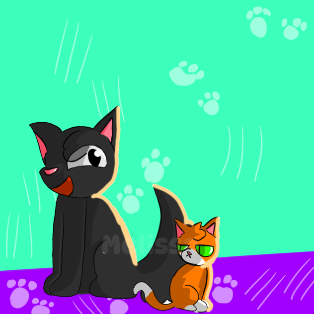 Gato e cachorro