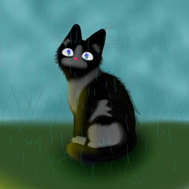 😻😻⚡️🌧️🌧️🌧️