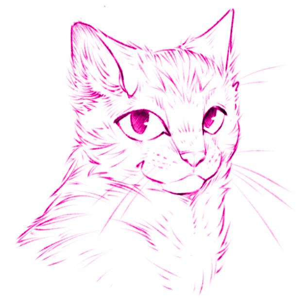 Pretty kitty!