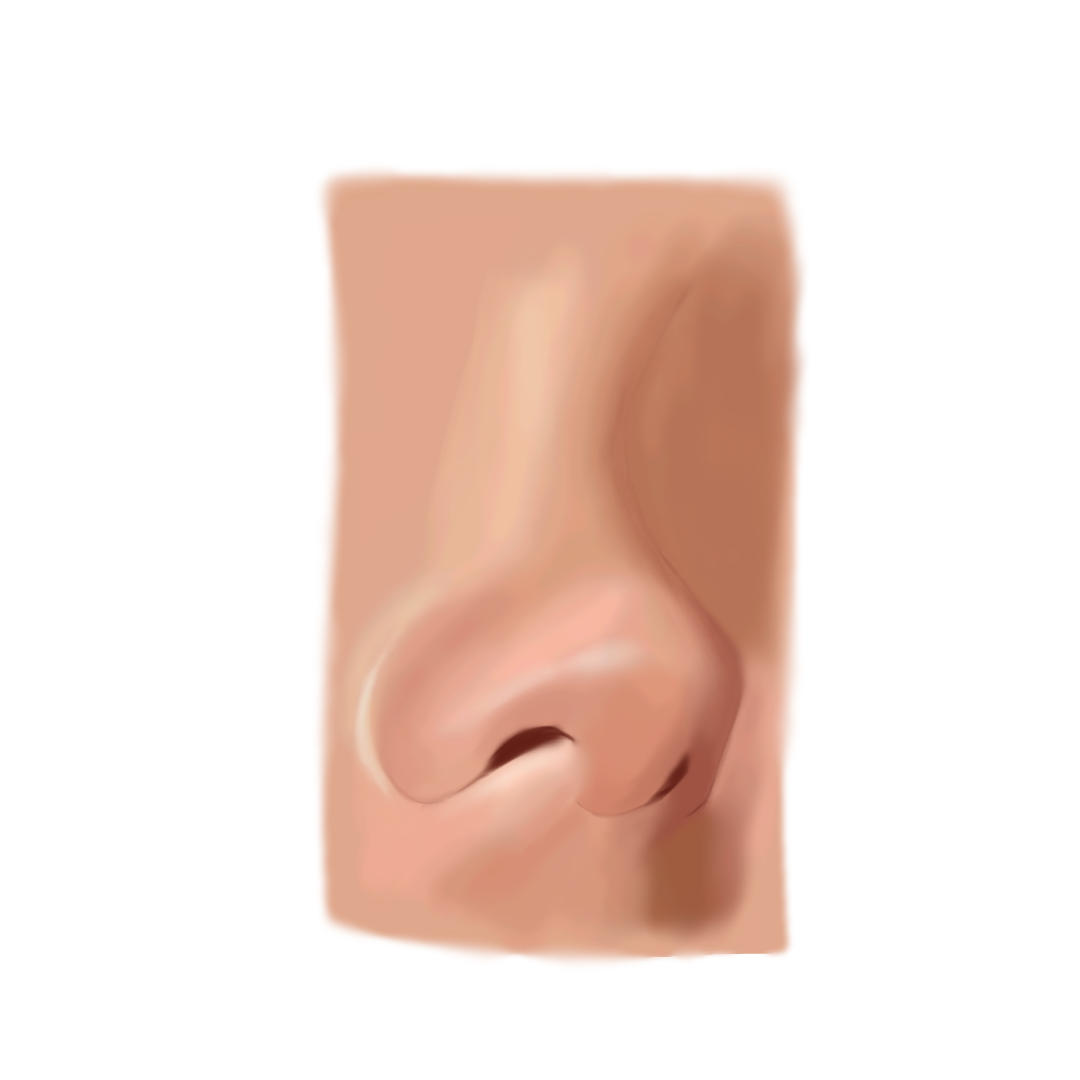 practice - ibisPaint