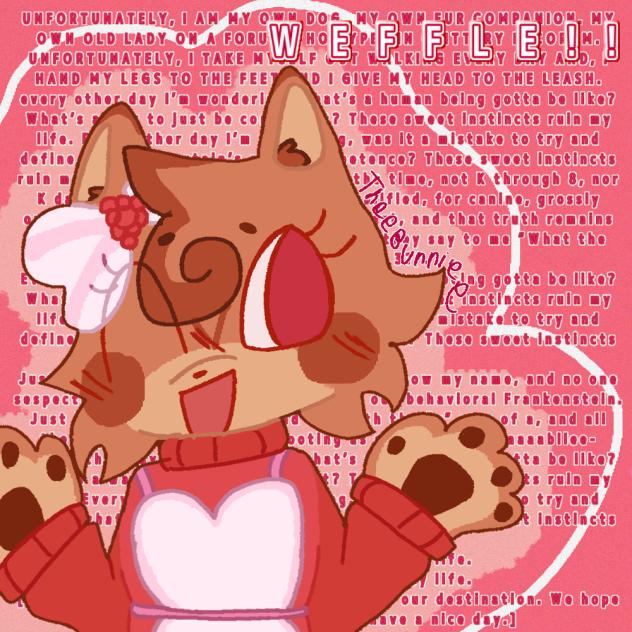 WEFFLE